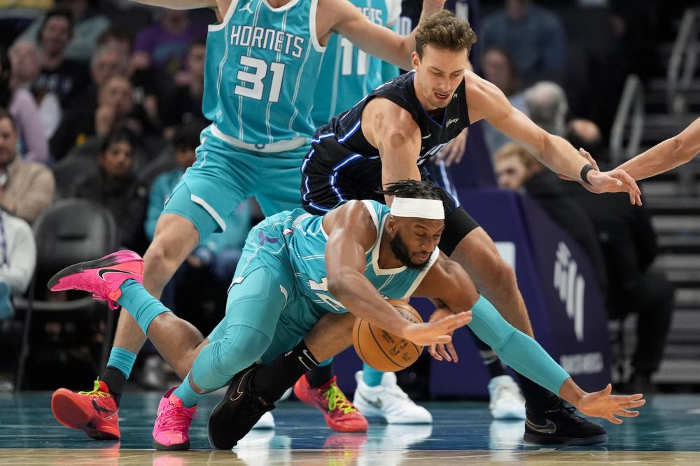 例如金鸡独 例如金鸡独