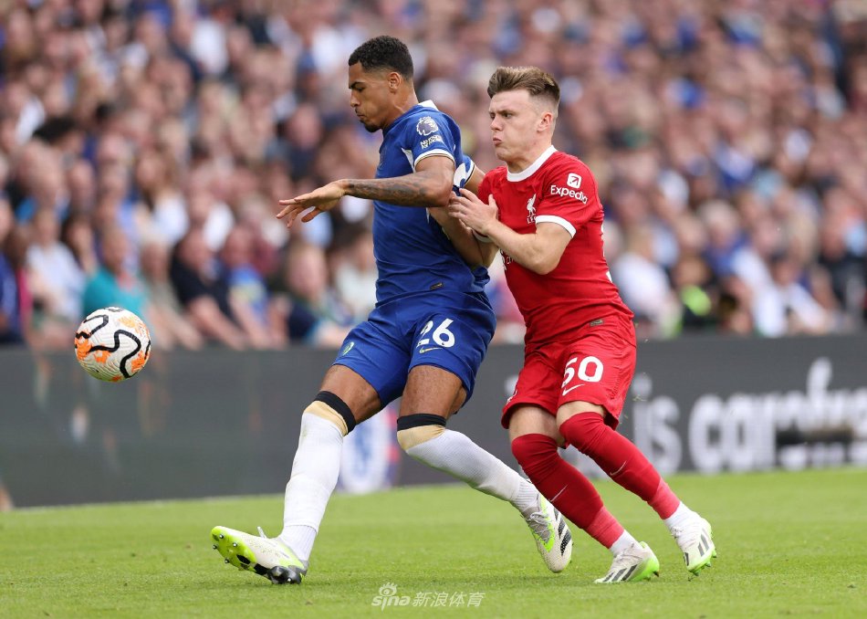 身个人能力 身个人能力